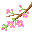 さかないか