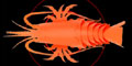 lobster-top6.jpg
