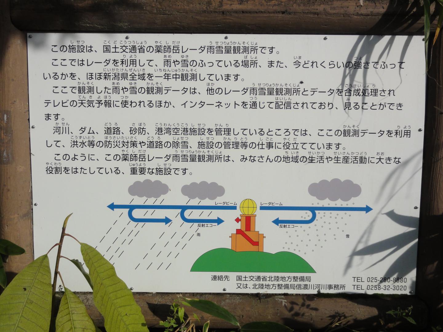 yakushi-panel.jpg